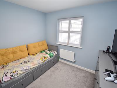 Picture 16